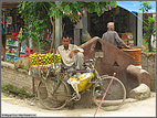 Mango seller