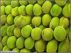 Durians close up