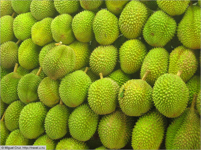 Singapore: Durians close up