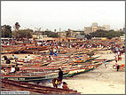 Fishing boats