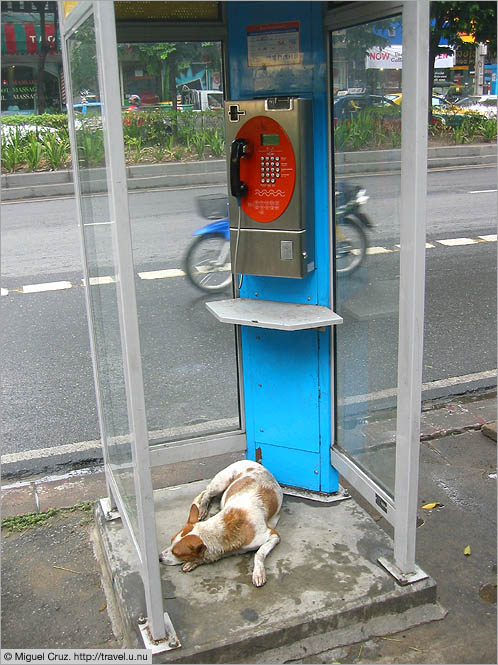 Thailand: Bangkok: Nice place for a nap