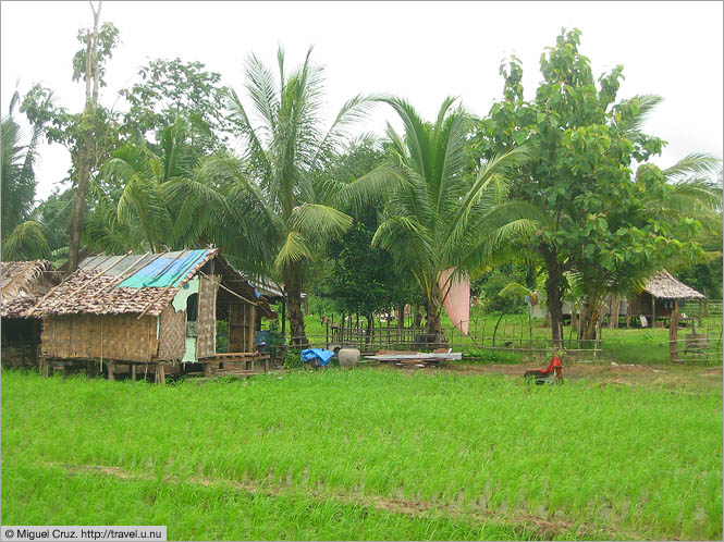 Thailand: Mae Sot: Rice field houses