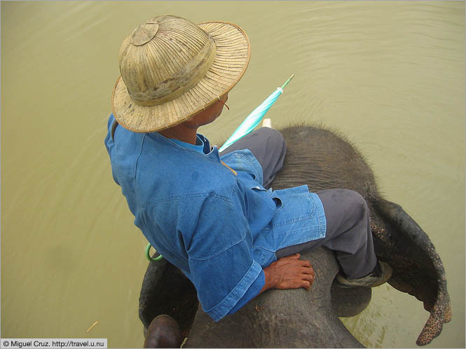 Thailand: Lampang: View from an elephant's back