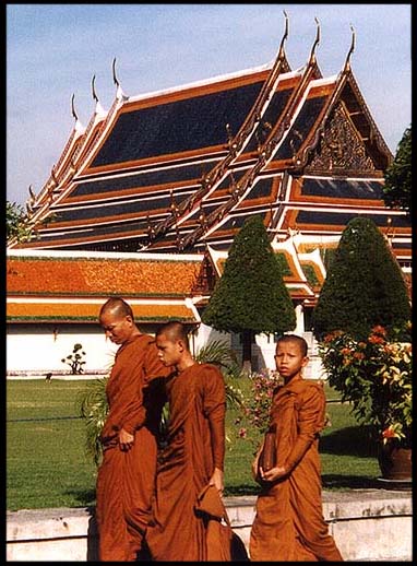Thailand: Bangkok: Monkin' around