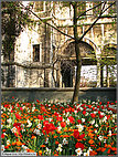 Flowers at the mosque