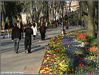 Park outside Topkapi