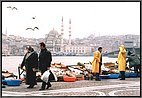 Fish for sale across the Golden Horn