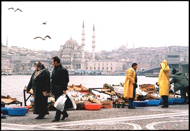 Turkey: Istanbul: Fish for sale across the Golden Horn