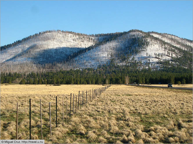 United States: Arizona: Mount Hairy Back