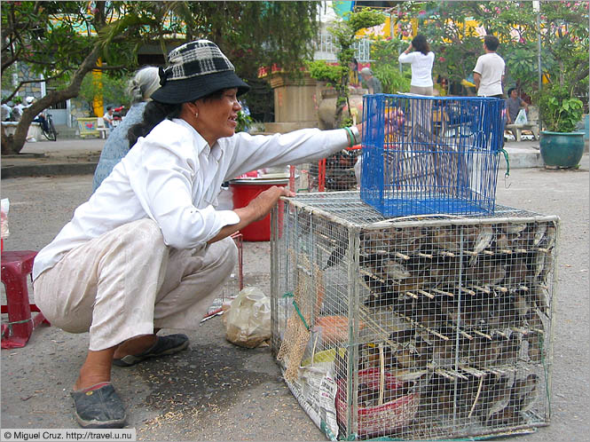 Vietnam: Saigon: Caged birds for hire
