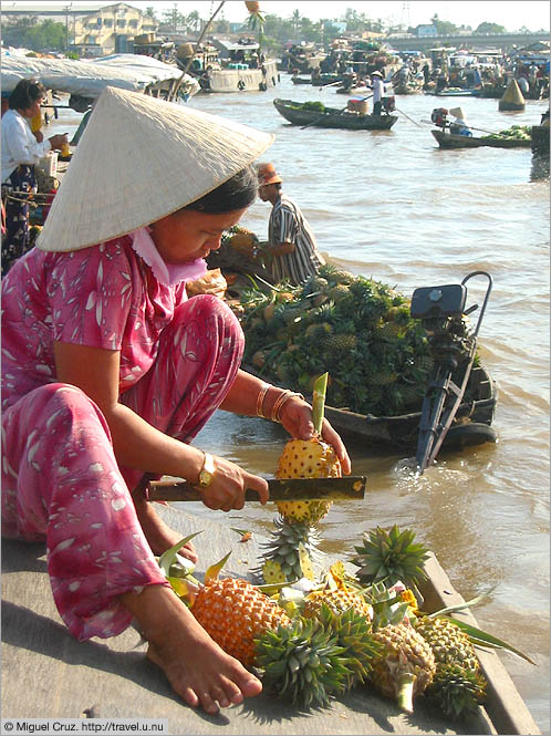 Vietnam: Mekong Delta: Pineapple peeling service