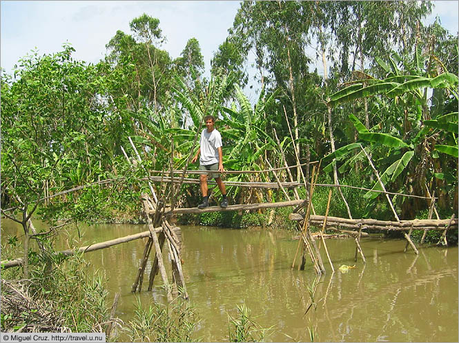 Vietnam: Mekong Delta: Monkey on the monkey bridge